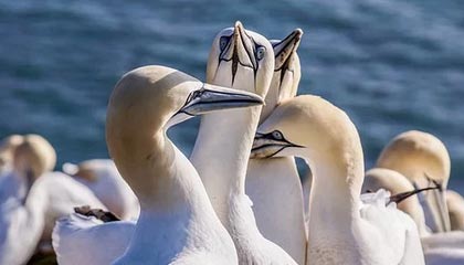 爆料吃瓜这条线背后不止一层，再看一遍还是细思极恐