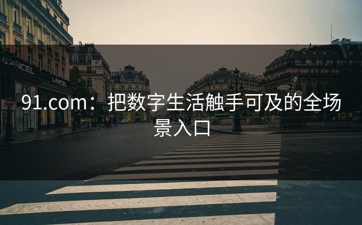 91.com：把数字生活触手可及的全场景入口