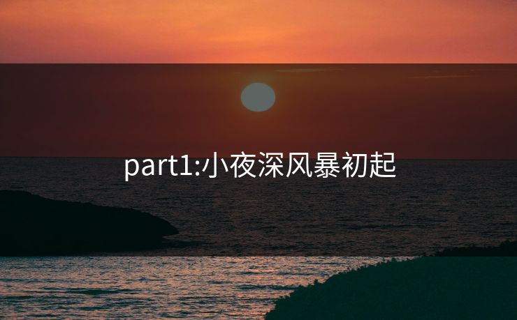 part1:小夜深风暴初起