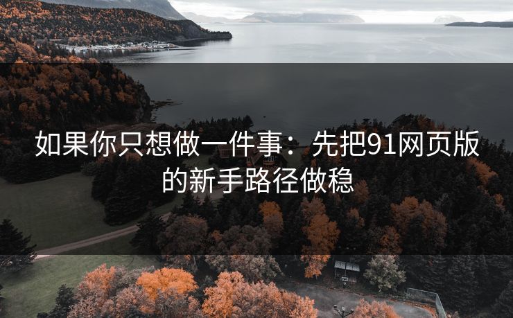 如果你只想做一件事：先把91网页版的新手路径做稳